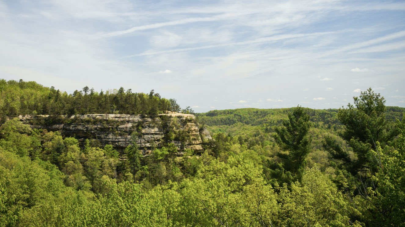kentucky_video_placeholder